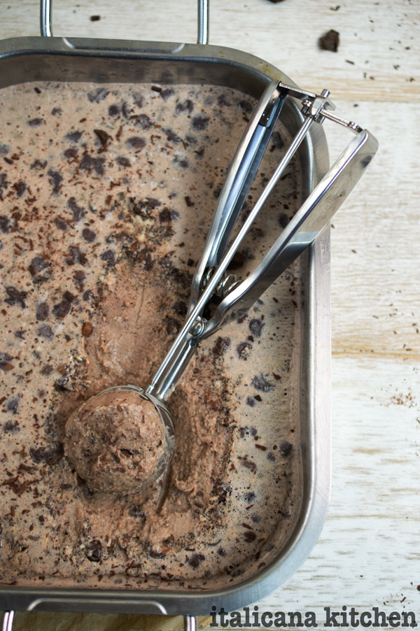 One-Step No-Churn Coffee Ice Cream, Nigella's Recipes