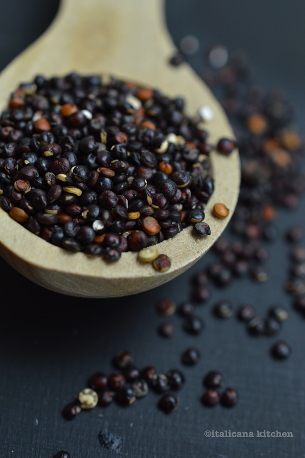 Black-Quinoa-Salad