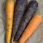 purple carrots recipe