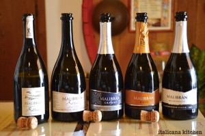 Un Weekend di Fuga nella Campagna del Prosecco-Malibran