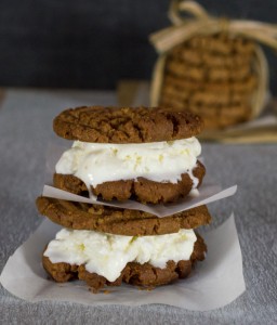 Peanut Butter and Nutella Ice Cream Sandwich