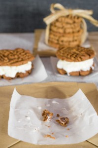 Peanut Butter and Nutella Ice Cream Sandwich