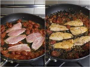Striped-Red-Mullet
