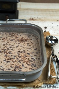 Homemade-No-Churn-Coffee-Ice-Cream