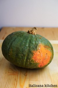 Roasted-Kaboche-Squash-Fries