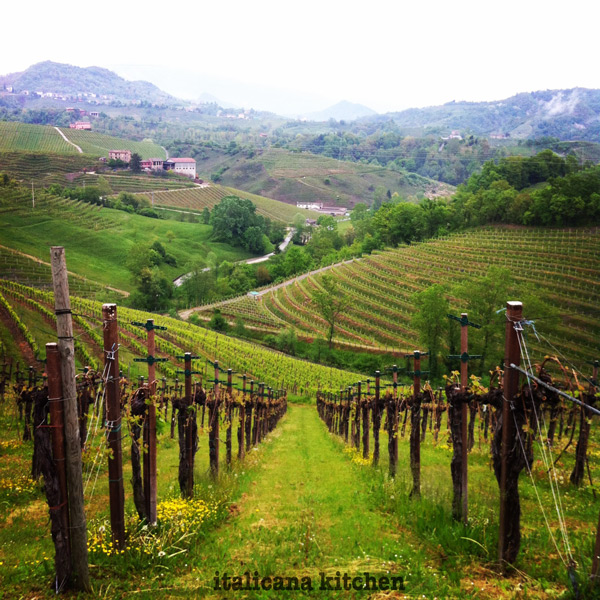 A Weekend Getaway in Prosecco Wine Country