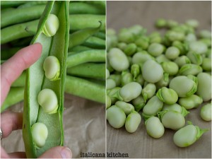 Avocado-and-Fava-Bean-Dip