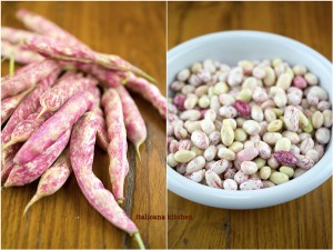Borlotti Bean Recipe
