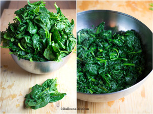 Spinach Balls