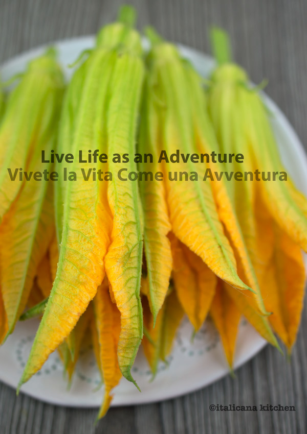 Live Life as an Adventure 