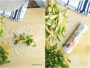 Spring Rolls