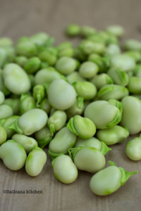 Scafata