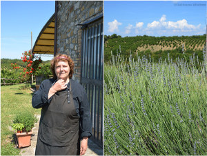 Agriturismo L'Elmo