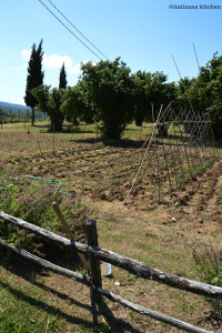 Agriturismo L'Elmo