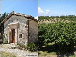 Agriturismo L'Elmo