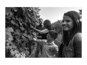 Lusvardi Wine: Nature's Gift