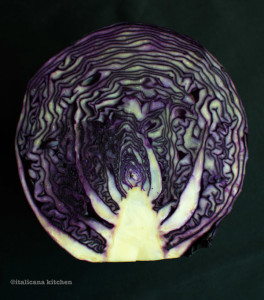 Roasted-Kabocha-Squash-with-Black-Quinoa-and-Cabbage-Pesto