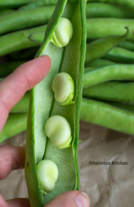 Fava-Bean-Pesto